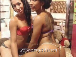 2TShorny11inch
