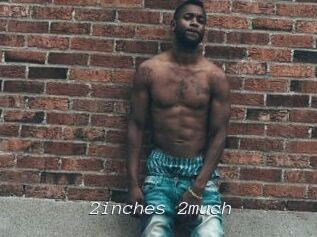 2inches_2much