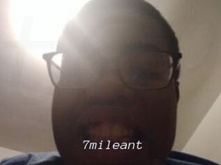 7mileant