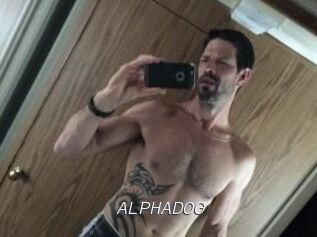 ALPHADOG