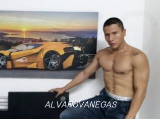 ALVAROVANEGAS