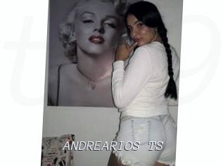 ANDREARIOS_TS