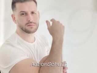 AaronSchulz