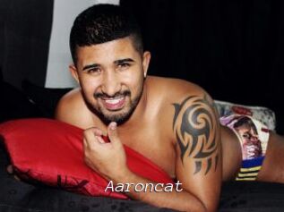 Aaroncat