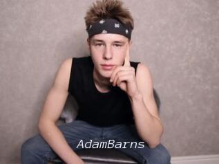 AdamBarns