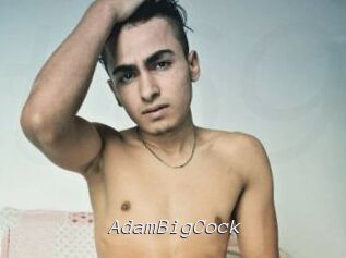 AdamBigCock Tel 69 Salopes