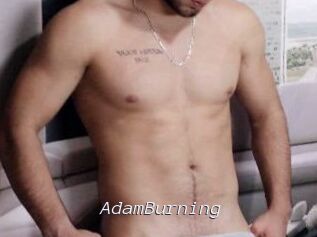 AdamBurning