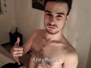 AleyModel