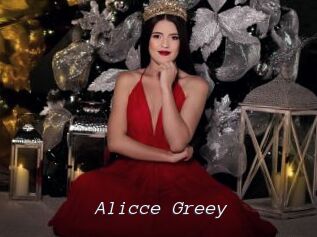 Alicce_Greey