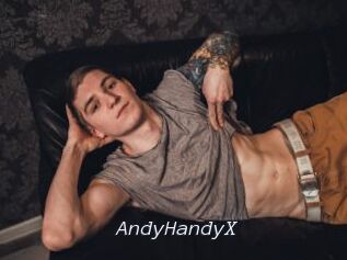 AndyHandyX