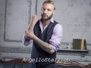 AngelloStallion