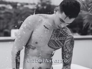 AnibalNavarro