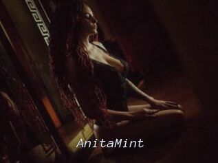AnitaMint