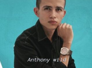 Anthony_wild