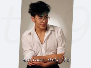Antinoo_ditella