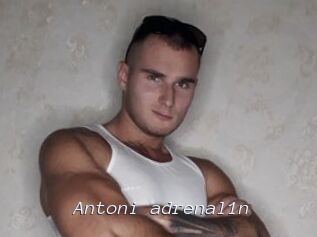 Antoni_adrenal1n