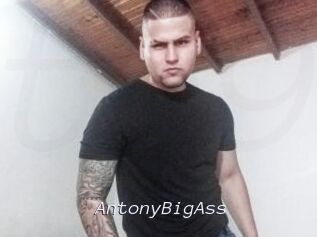 AntonyBigAss