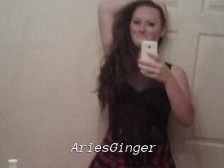 AriesGinger