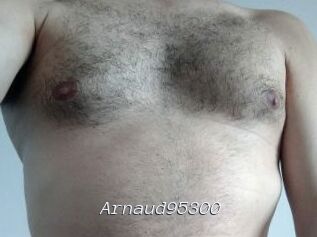 Arnaud95300