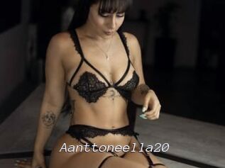 Aanttoneella20