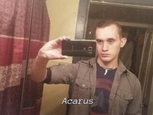 Acarus