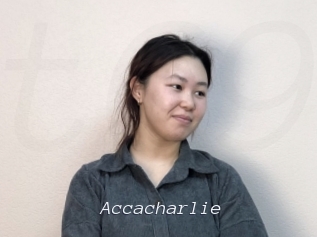 Accacharlie