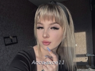 Accaexcell