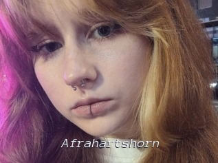 Afrahartshorn