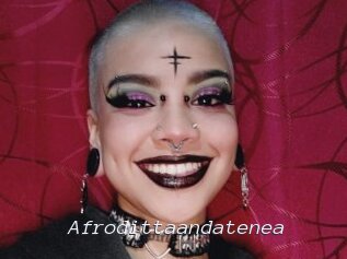 Afrodittaandatenea