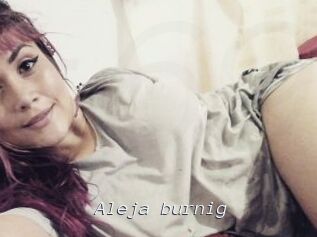 Aleja_burnig