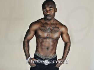 Alexandercolt