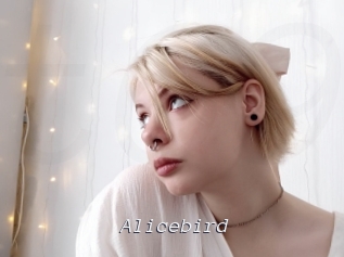 Alicebird