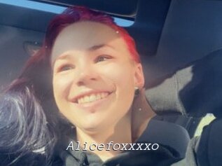 Alicefoxxxxo