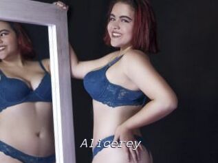 Alicerey