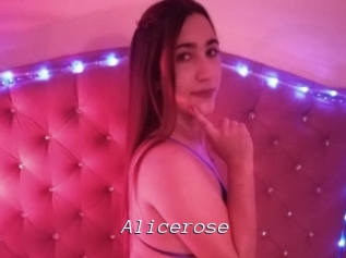 Alicerose