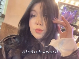 Alodiebunyard