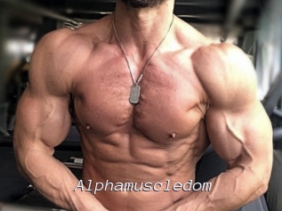 Alphamuscledom