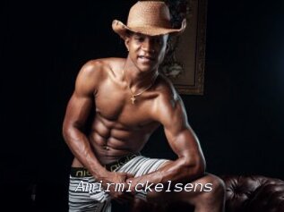 Amirmickelsens