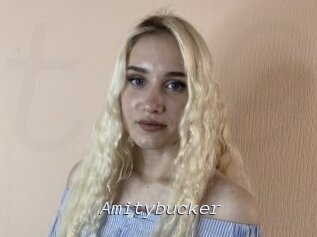 Amitybucker