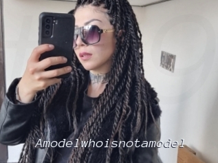 Amodelwhoisnotamodel