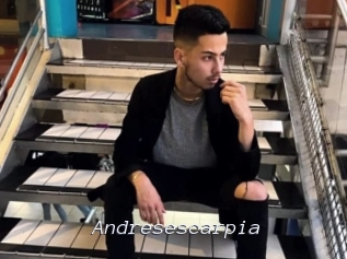 Andresescarpia