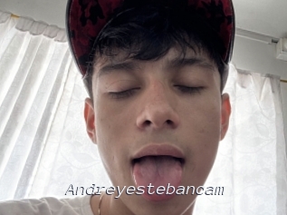 Andreyestebancam