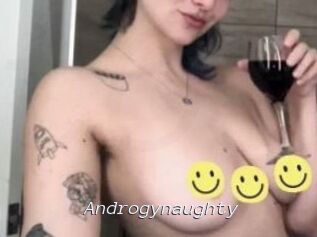Androgynaughty