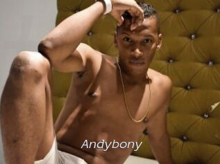 Andybony
