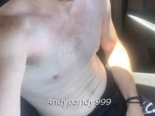 Andypandy999