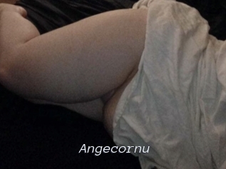 angecornu Tel 69 Salopes