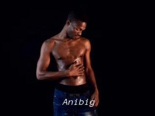 Anibig