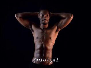 Anibigxl