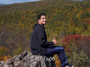 Anis66