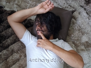anthonyding Tel 69 Salopes